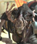 Avatar du membre