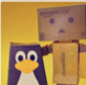 Avatar du membre