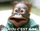 Avatar du membre