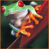 Avatar du membre