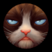 Avatar du membre